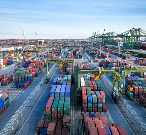 WhatsApp Image 2024-10-01 at 9.59.02 PM